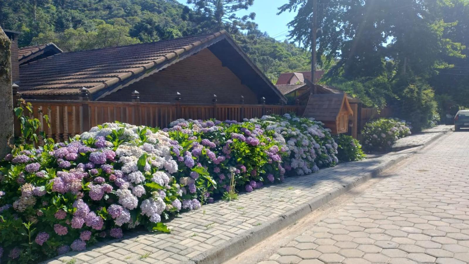 Chale Aroma Da Serra Monte Verde  Exterior photo
